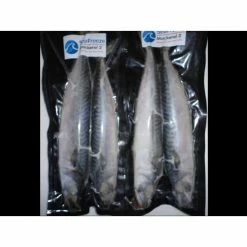Seafreeze SEA FREEZE BAIT: Mackerel 2pk