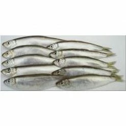 Seafreeze Sea Bait SEA FREEZE BAIT: Sprats 8-10s