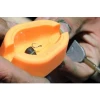 Commercial Feeders & Bombs Guru Method Mould Mini