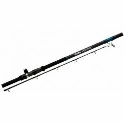 Beach Rods Century Excalibur C-Curve 13'10''
