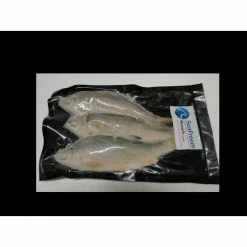 Seafreeze SEA FREEZE BAIT: Roach M 3s