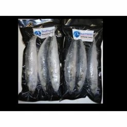Seafreeze SEA FREEZE BAIT: Joey Mackerel 3pk Sea Bait