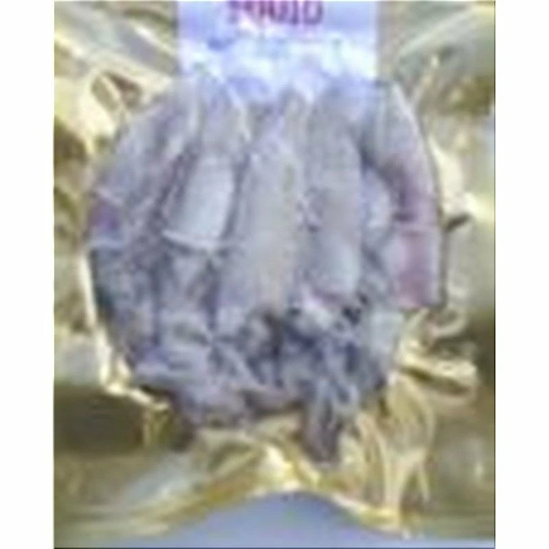 Seafreeze SEA FREEZE BAIT: Squid Baby Handypak Sea Bait 3 Seafreeze SEA FREEZE BAIT: Squid Baby Handypak Sea Bait