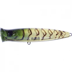 Fishus Ubuntu Popper 70mm