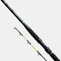 Pike Rods Madcat Black Cat-Stick 10ft 150-300gr