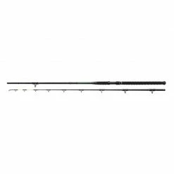 Pike Rods Madcat Black Cat-Stick 10ft 150-300gr