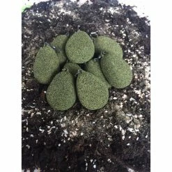 Liverpool Leads Liverpool Carp Leads - Flat Pear