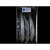 Seafreeze SEA FREEZE BAIT: Sardines 6-7" Sea Bait