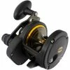 Boat Multiplier Reels Penn Fathom 25N Lever Drag 2 Speed 1 Boat Multiplier Reels Penn Fathom 25N Lever Drag 2 Speed