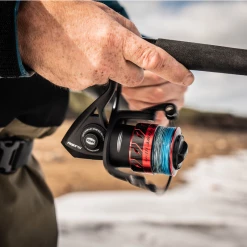 Penn Fierce III Reels Fixed Spool Reels