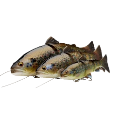 Savage Gear 4D Line Thru Rattle Trout 30cm 303g Medium Sink